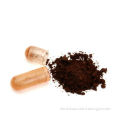 High Quality Reishi Ganoderma Lucidum Lingzhi Extract Powder! Polysaccharide 10%-50%